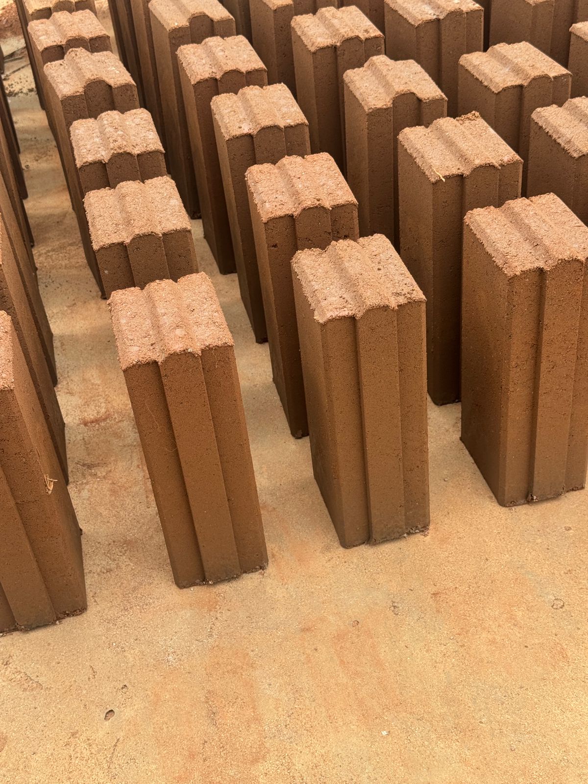 Rows of freshly cast Avani interlocking bricks curing in the yard